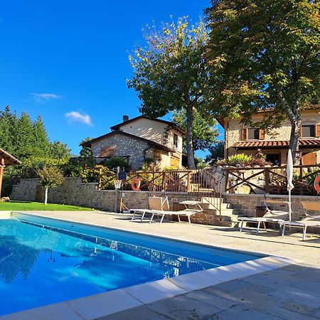 L'Antico Cipresso Villa Poppi Dış mekan fotoğraf
