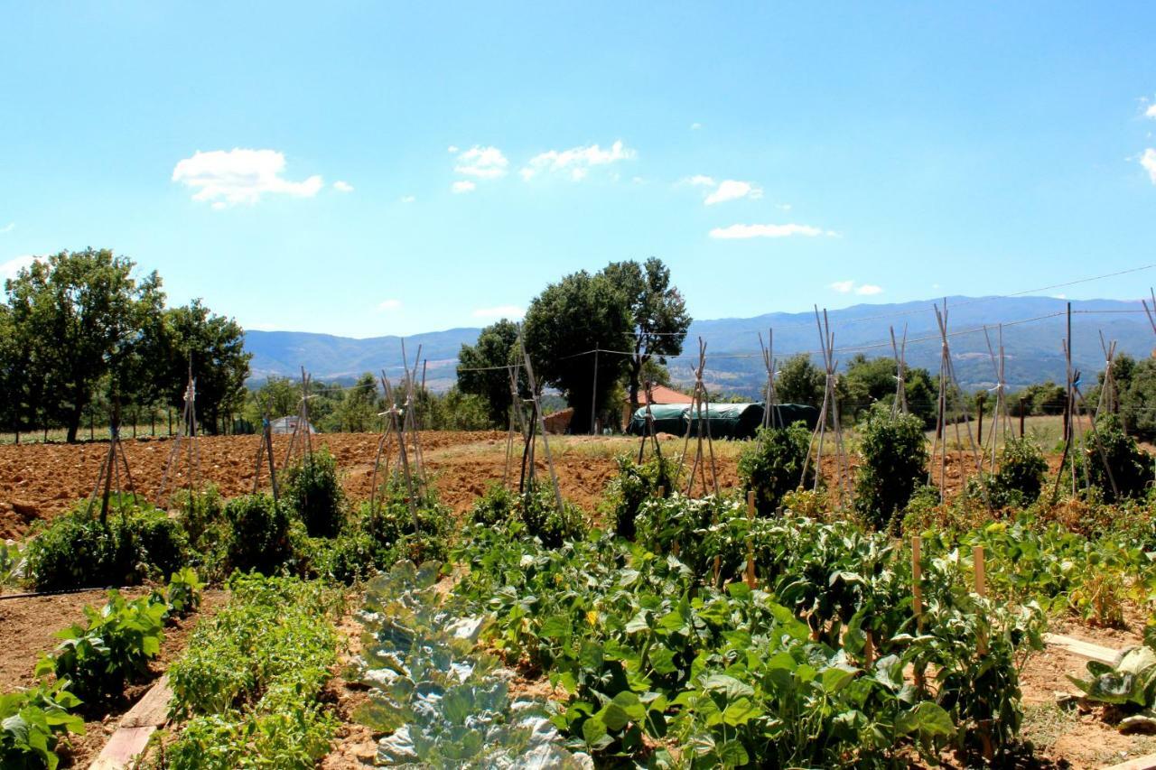 L'Antico Cipresso Villa Poppi Dış mekan fotoğraf