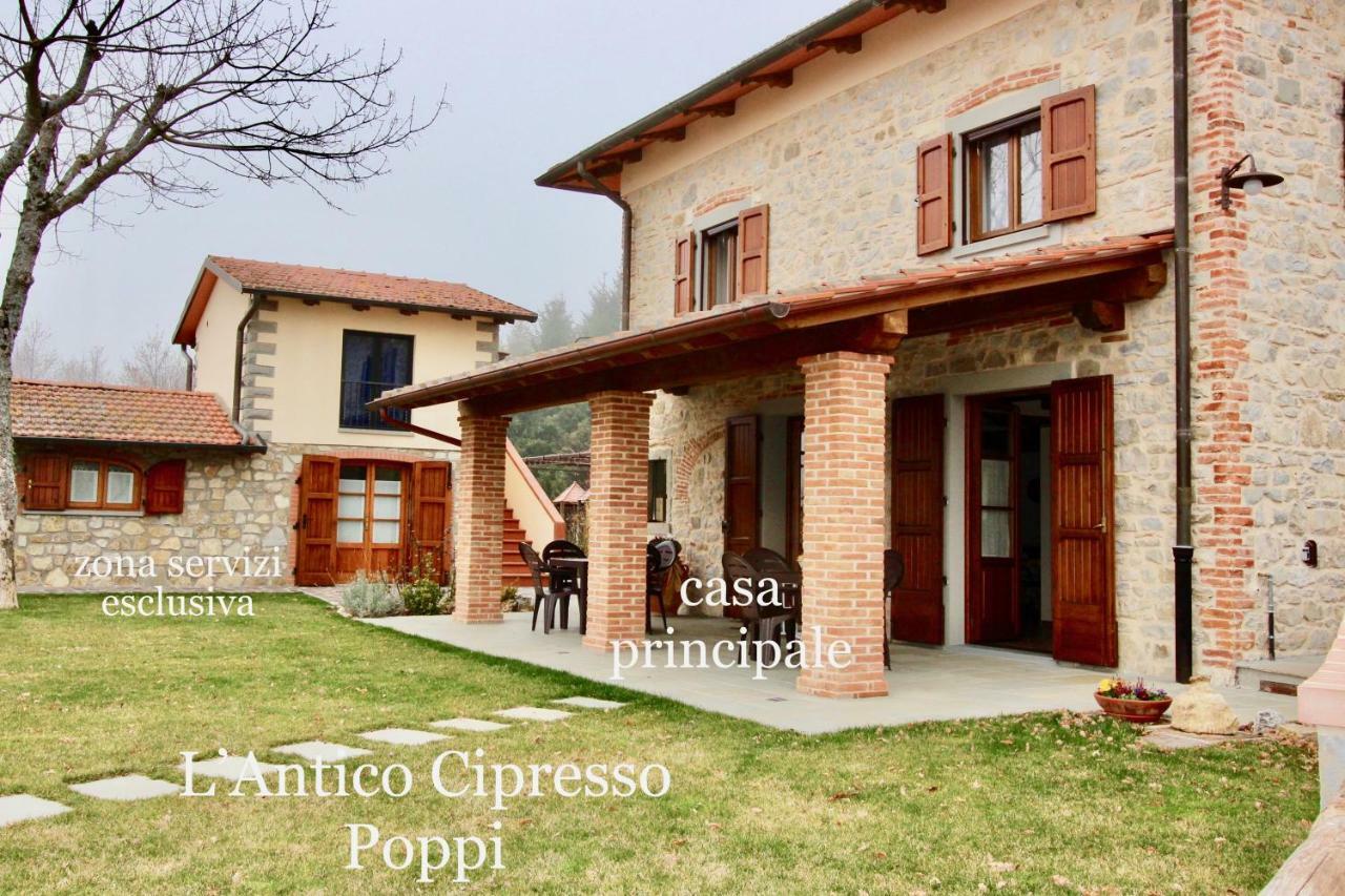 L'Antico Cipresso Villa Poppi Dış mekan fotoğraf