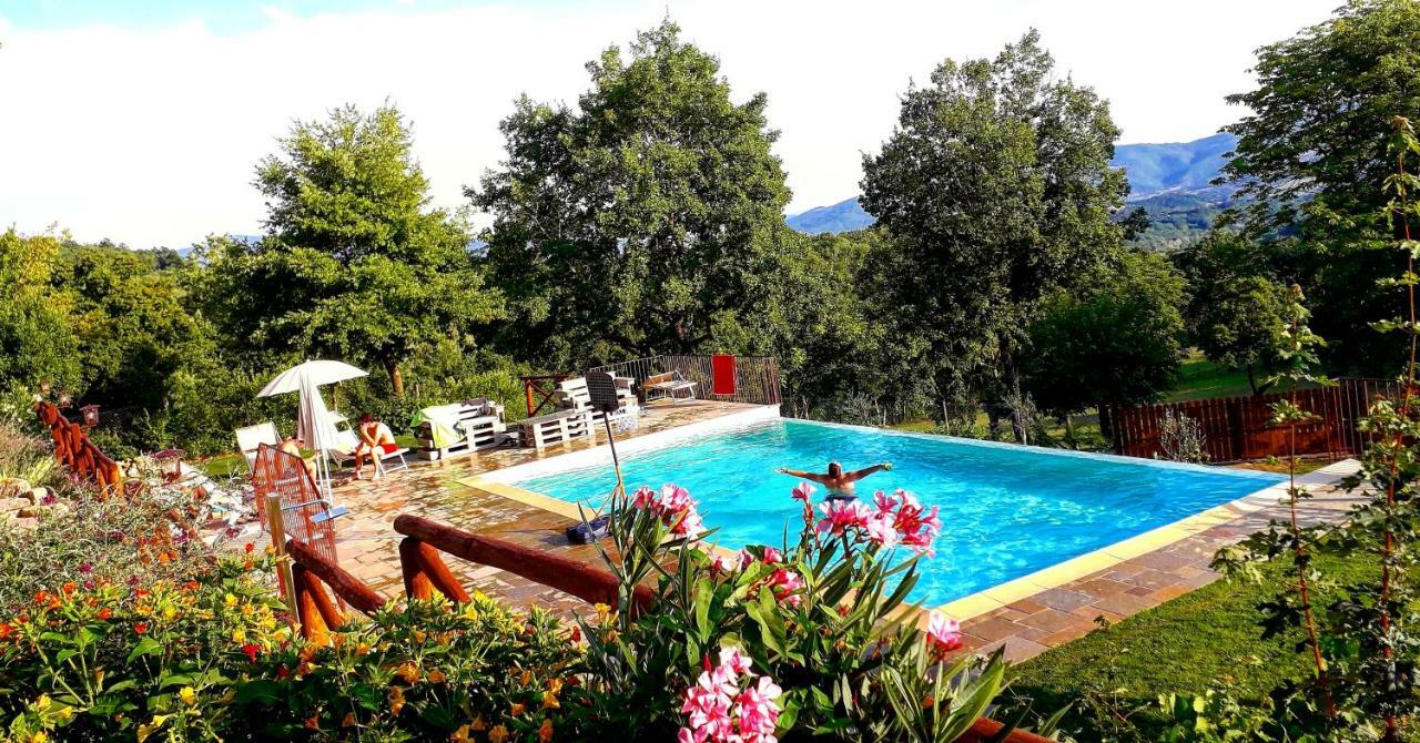 L'Antico Cipresso Villa Poppi Dış mekan fotoğraf